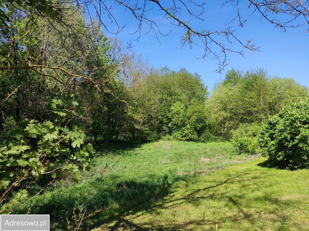 Działka siedliskowa Skudzawy. Zdjęcie 7