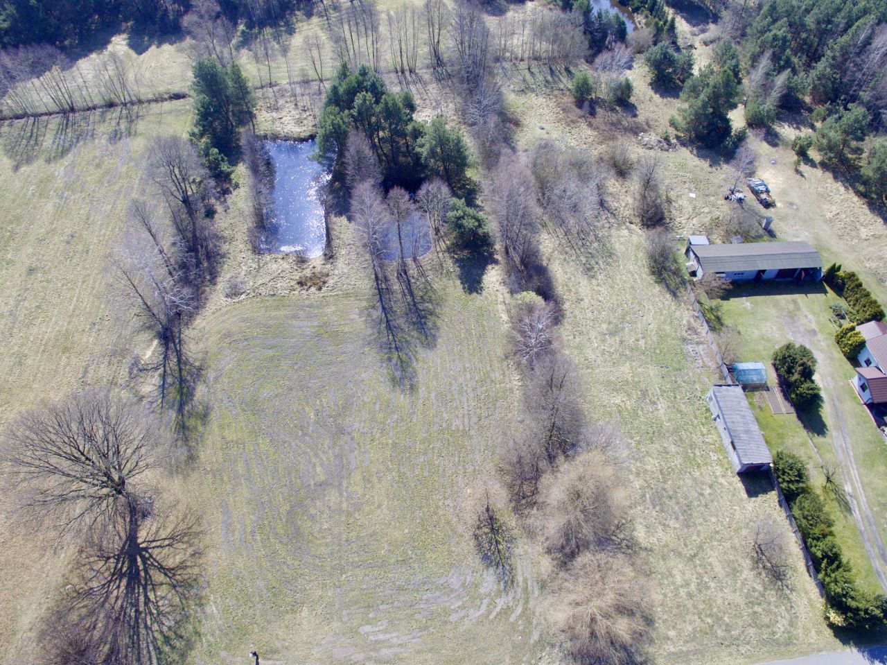 Działka rolno-budowlana Józefów Widawski. Zdjęcie 4