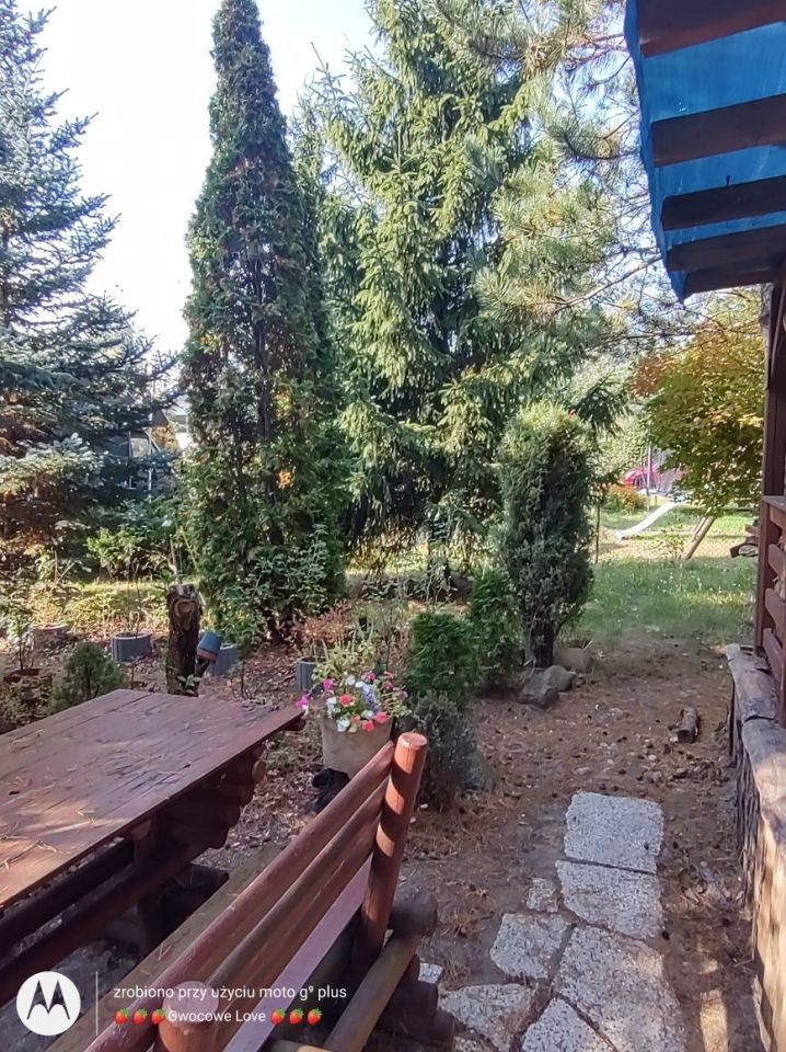 Działka rod Toruń Rudak. Zdjęcie 6