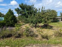 Działka rod Gdańsk Orunia. Zdjęcie 2