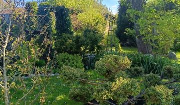 Działka rod Słupsk, ul. Gdańska