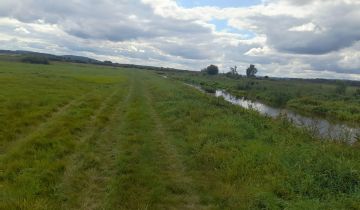 Działka rolna Krępa Kaszubska