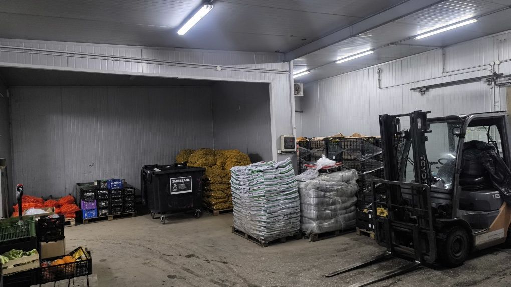 Hala/magazyn Kielce, ul. Zbożowa