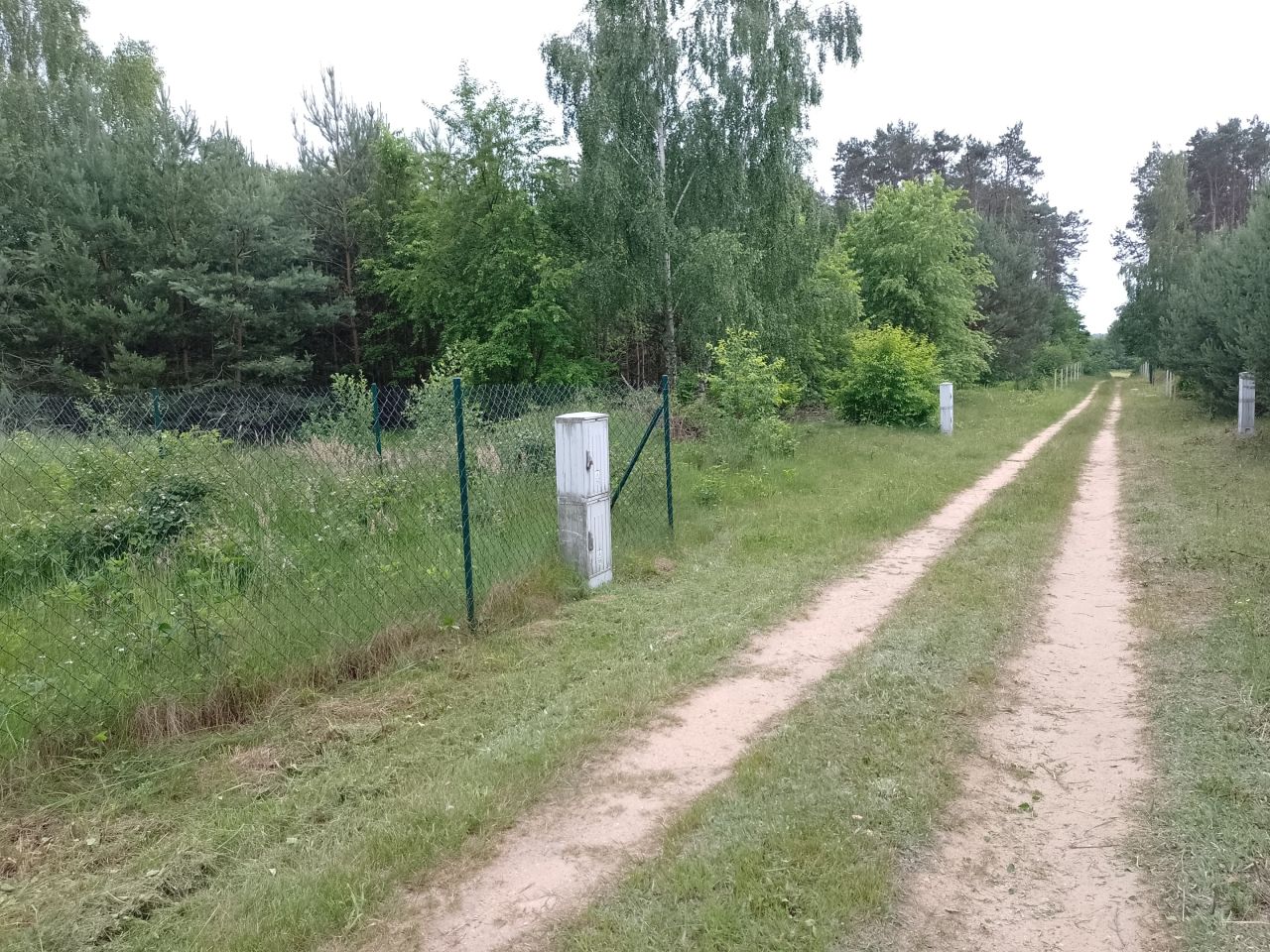 Działka rekreacyjna Czyżemin, Czyżemin 49w. Zdjęcie 3