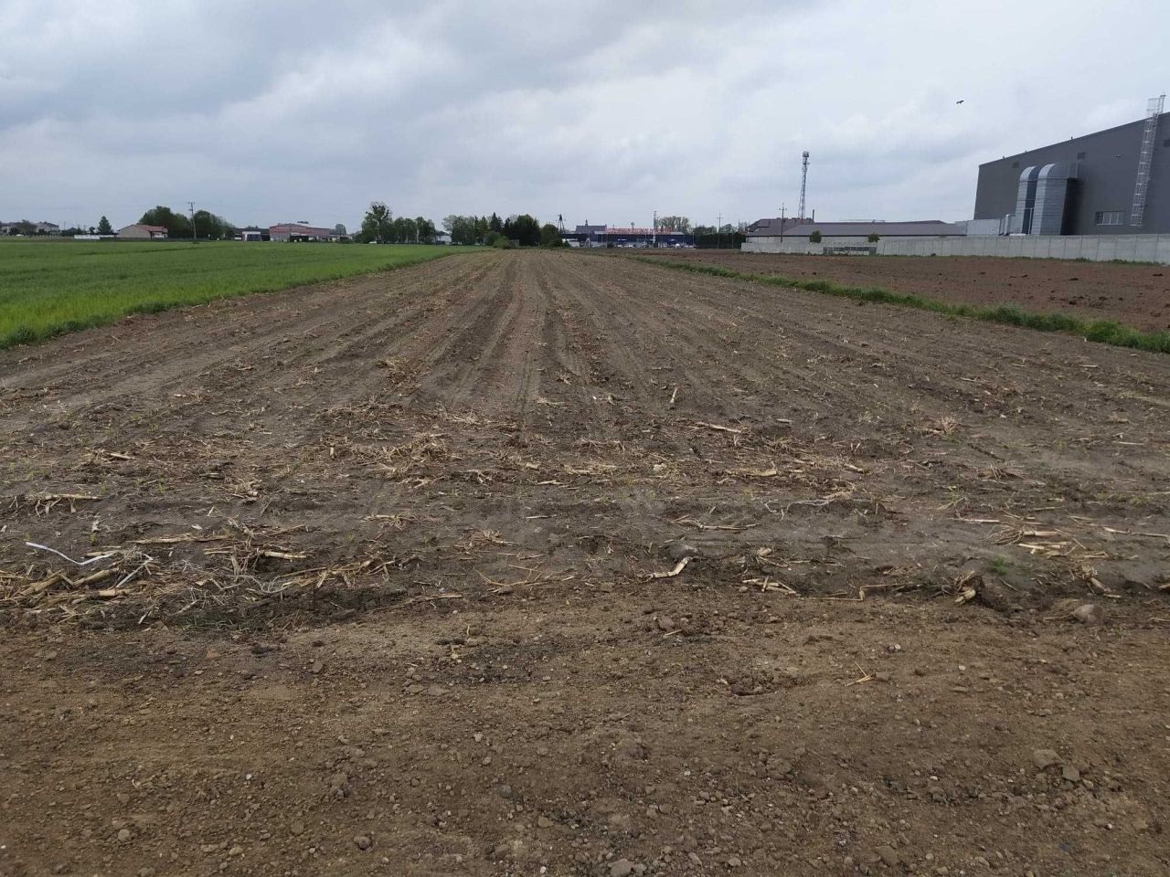 Działka inwestycyjna Żuromin, ul. Żeromskiego. Zdjęcie 4