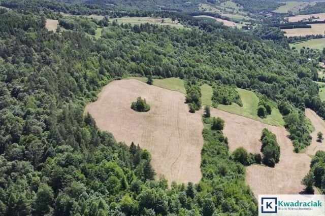 Działka rolna Stężnica. Zdjęcie 5