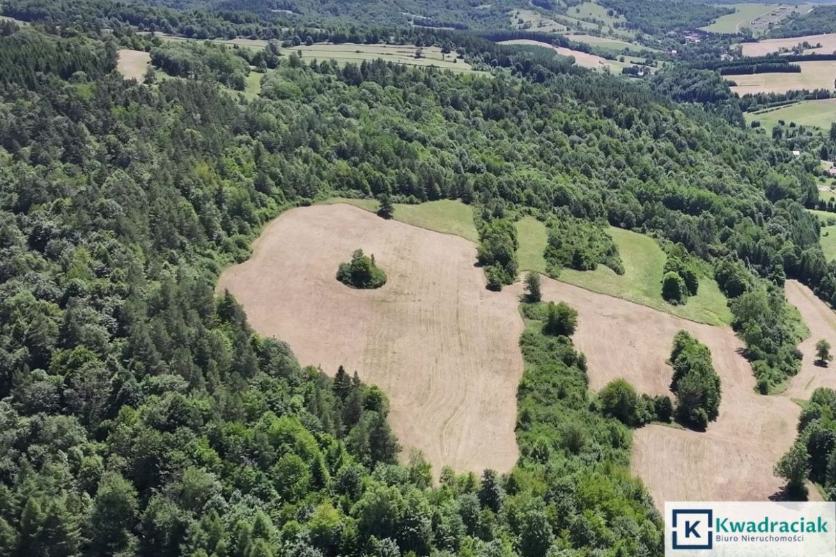 Działka rolna Stężnica. Zdjęcie 5