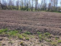 Działka rolna Jawiszowice Jaźnik, ul. Trzciniec. Zdjęcie 1