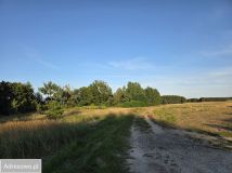 Działka budowlana Jankowice. Zdjęcie 3