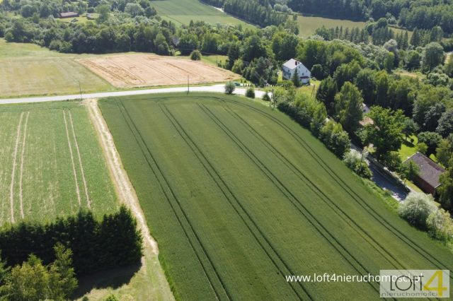 Działka budowlana Tuchów. Zdjęcie 10