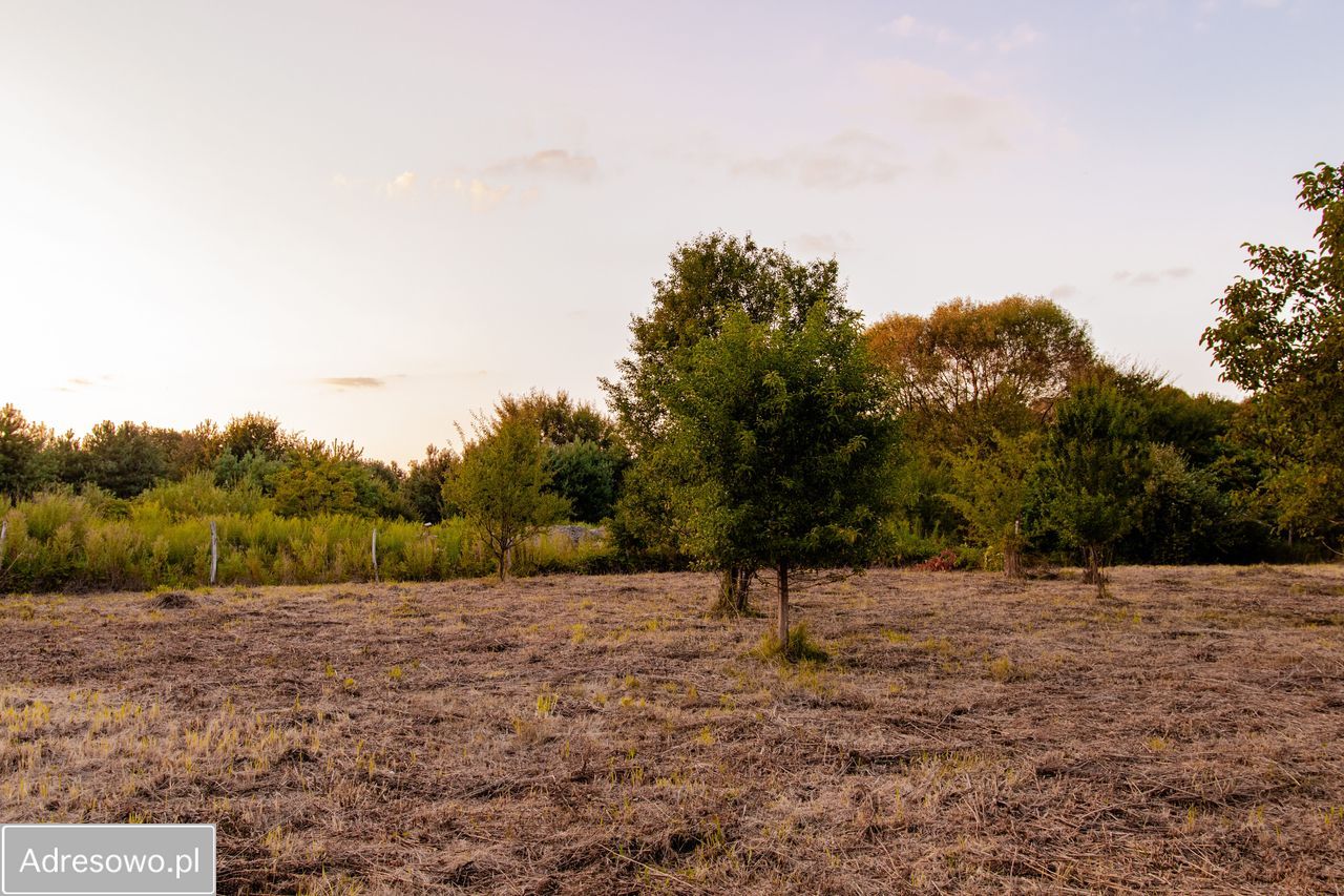 Działka budowlana Bydgoszcz Piaski, ul. ks. Augustyna Szamarzewskiego. Zdjęcie 11