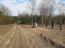 Działka budowlana Wilamy. Zdjęcie 3