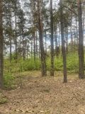 Działka rekreacyjna Ploski. Zdjęcie 2