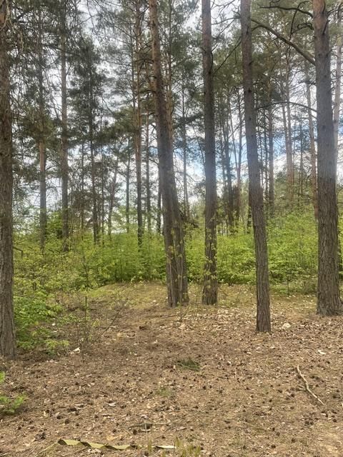 Działka rekreacyjna Ploski. Zdjęcie 3