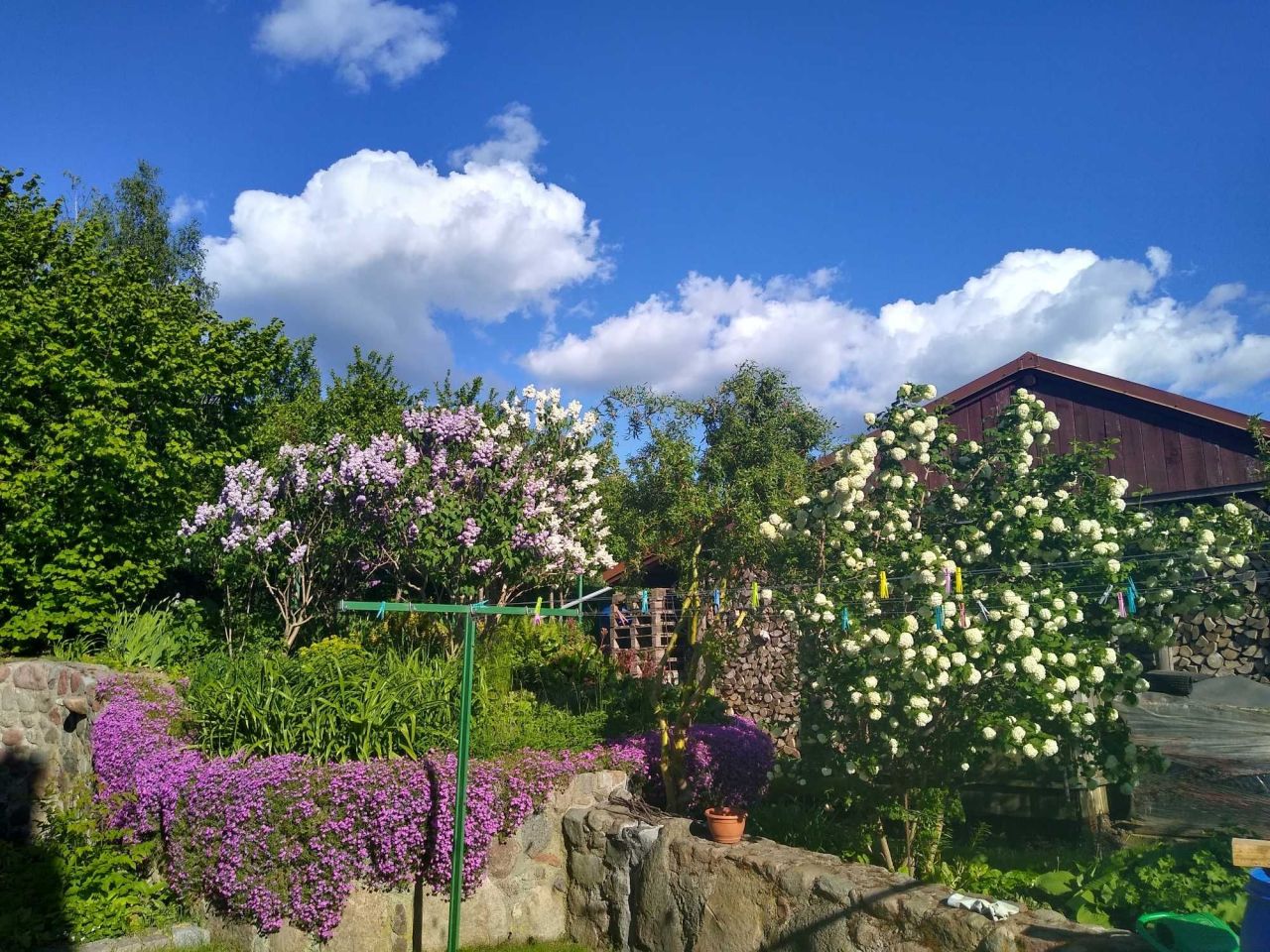 dom wolnostojący, 4 pokoje Wielochowo. Zdjęcie 4