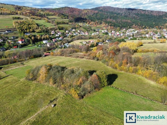 Działka rolna Rymanów-Zdrój Deszno. Zdjęcie 3