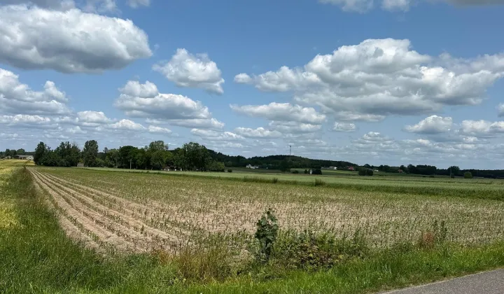 Działka budowlana Czyżemin