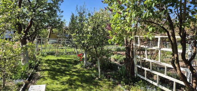 Działka rod Gdańsk Zabornia, ul. Łabędzia. Zdjęcie 6