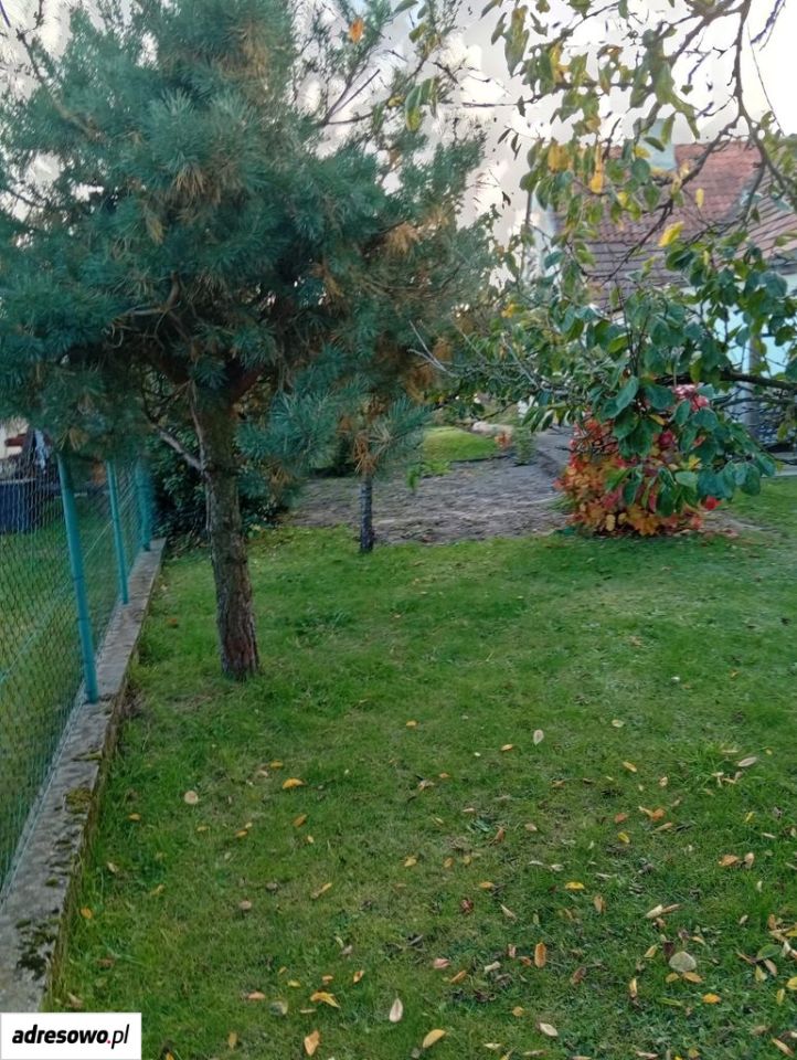 bliźniak, 4 pokoje Elbląg, ul. Pabianicka. Zdjęcie 4