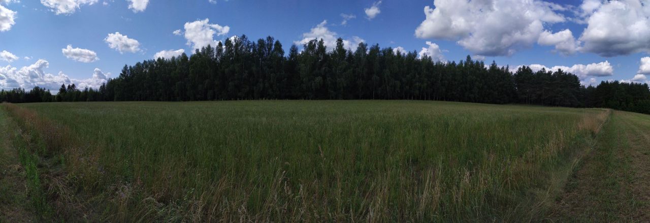 Działka siedliskowa Nowa Przerośl. Zdjęcie 8