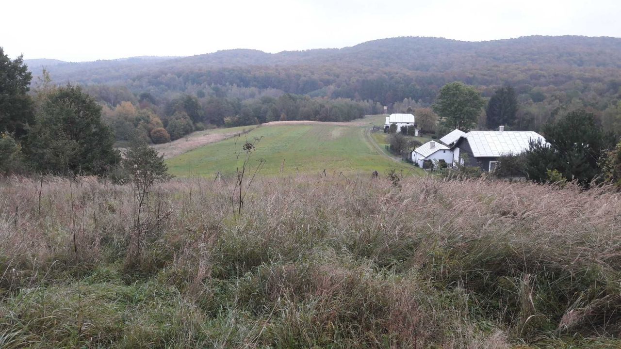 Działka rolno-budowlana Humniska. Zdjęcie 5