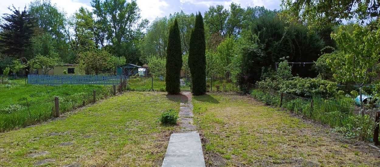 Działka rod Toruń, ul. Stanisława Przybyszewskiego. Zdjęcie 7