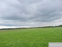 Działka budowlana Żerdź. Zdjęcie 3