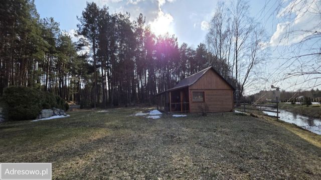 Działka leśna Wólka Łosiniecka. Zdjęcie 1