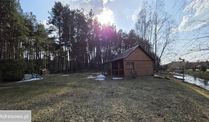 Działka leśna Wólka Łosiniecka