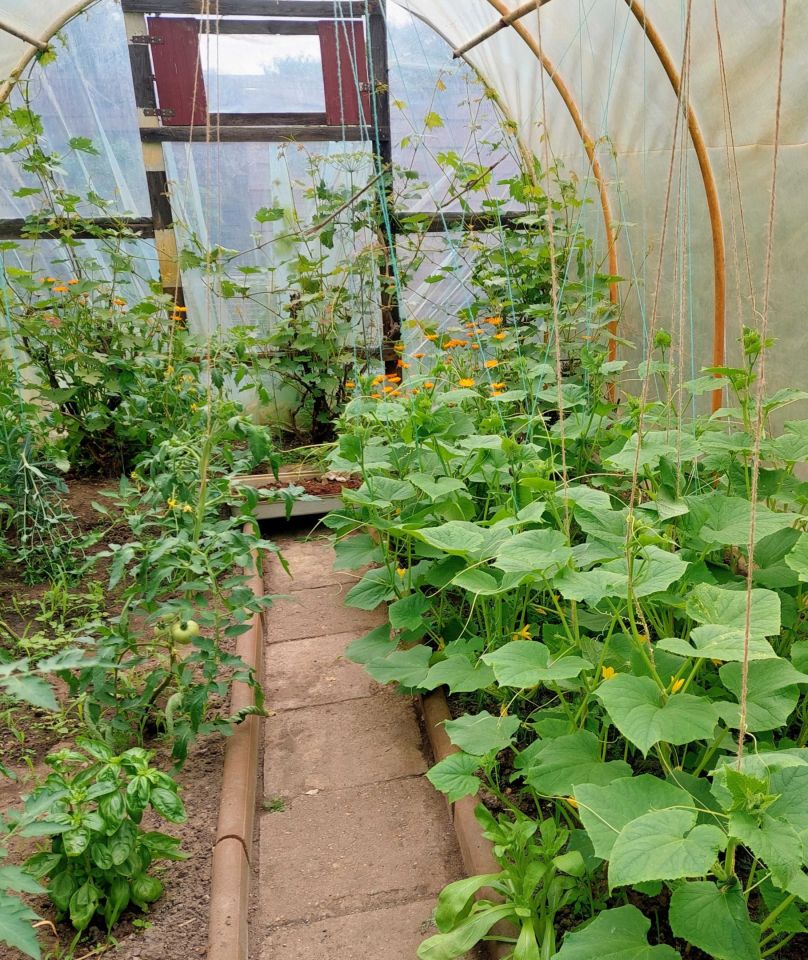 Działka rod Opole. Zdjęcie 6