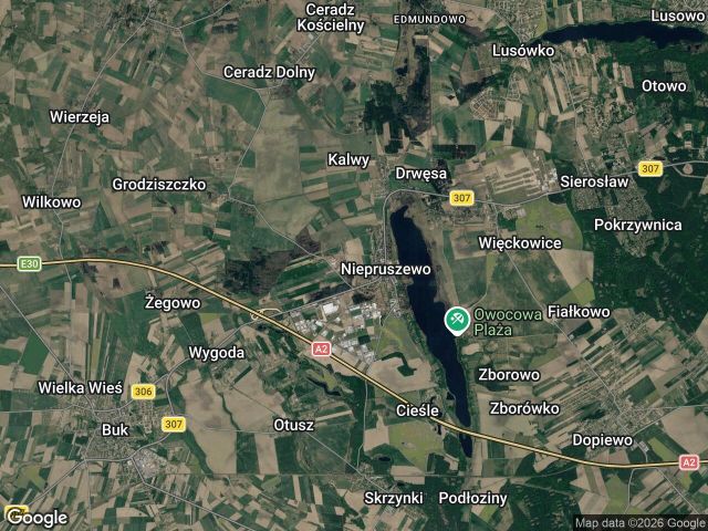 Działka budowlana Niepruszewo. Zdjęcie 1