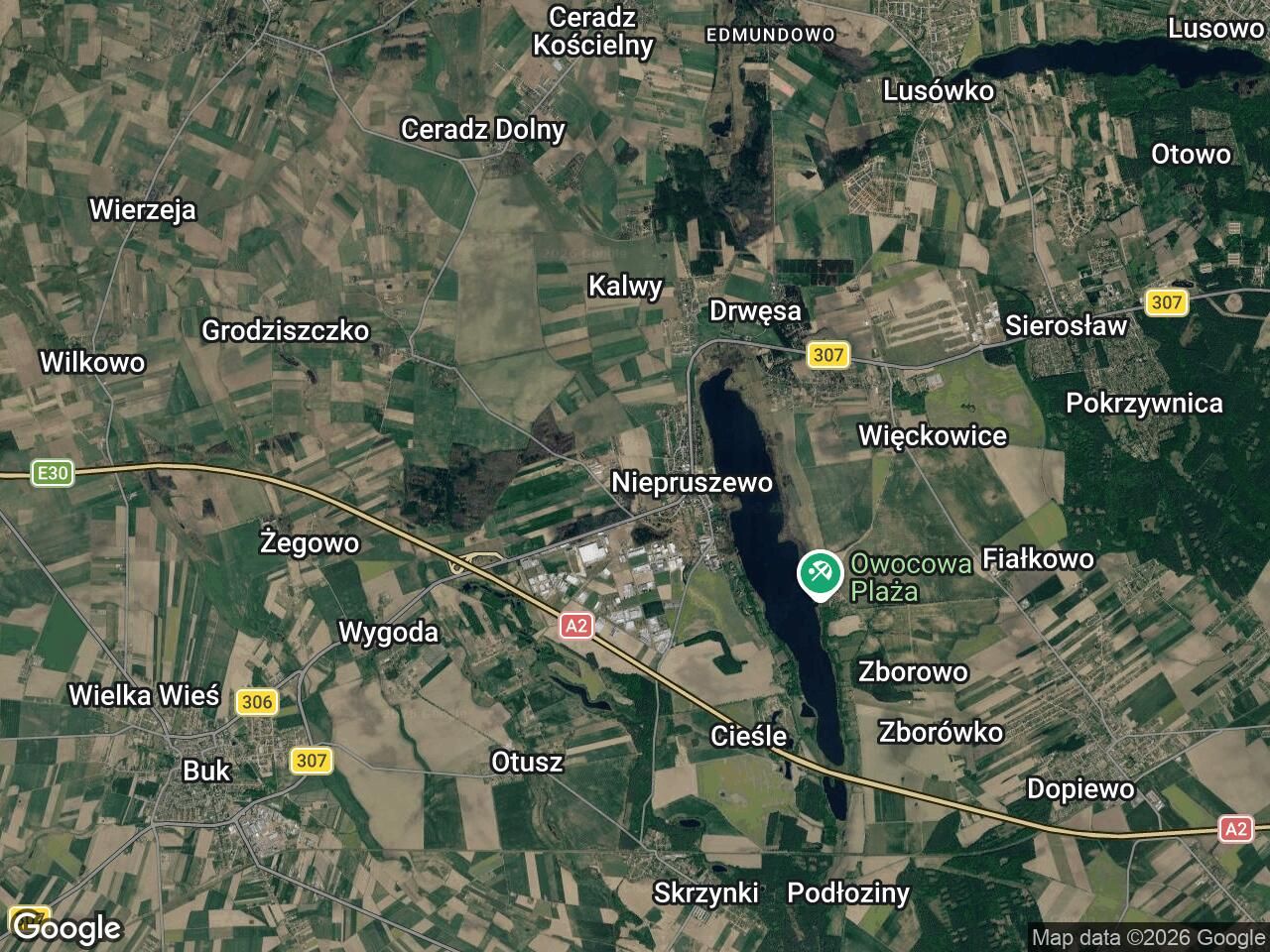 Działka budowlana Niepruszewo. Zdjęcie 1