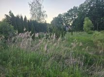 Działka siedliskowa Droszków. Zdjęcie 1
