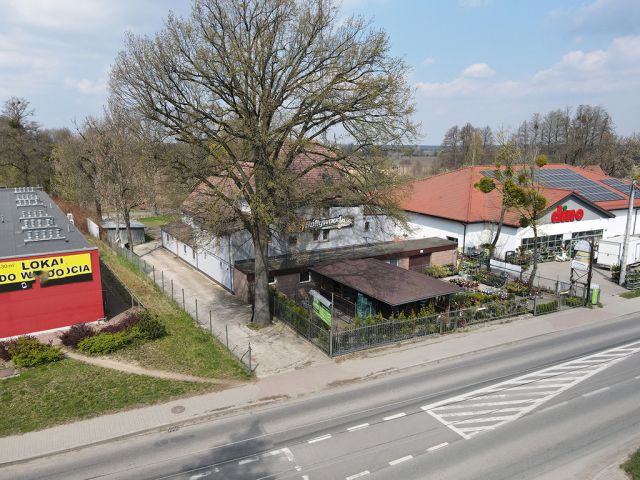 Lokal Niemodlin, ul. Opolska. Zdjęcie 3