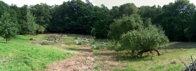 Działka rolno-budowlana Elbląg, ul. Okrężna. Zdjęcie 1