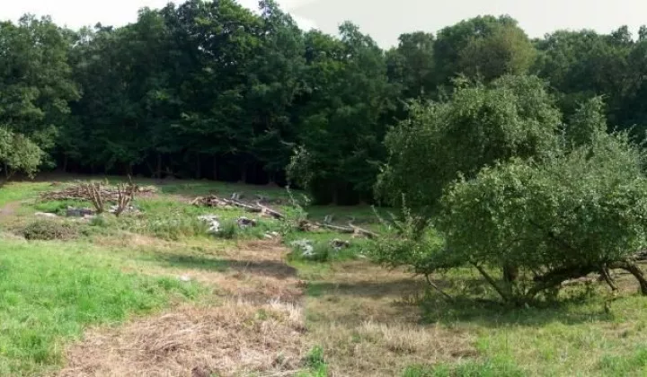 Działka rolno-budowlana Elbląg, ul. Okrężna