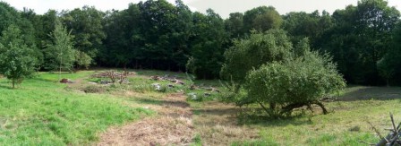 Działka rolno-budowlana Elbląg, ul. Okrężna 12