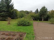 Działka Bierzwnik. Zdjęcie 4