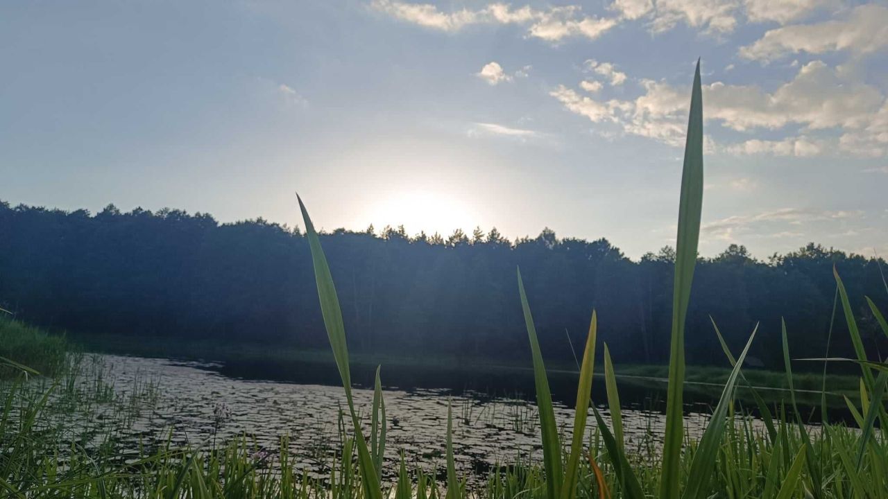 Działka budowlana Wajków. Zdjęcie 4