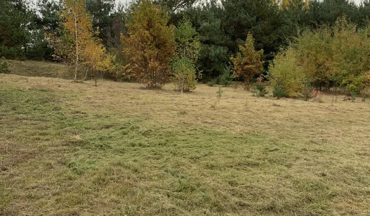 Działka budowlana Cychry