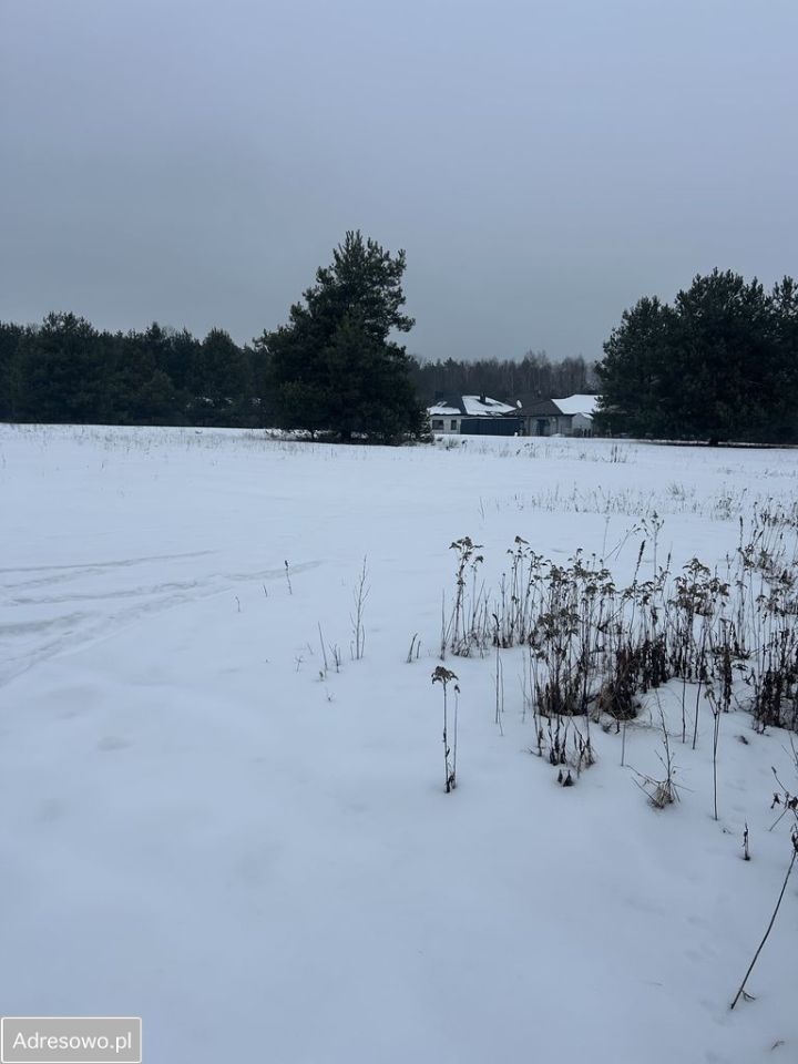 Działka budowlana Radzymin, ul. Trawiasta. Zdjęcie 3