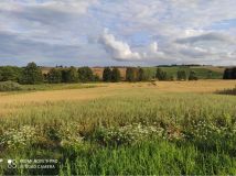 Działka budowlana Głotowo. Zdjęcie 1