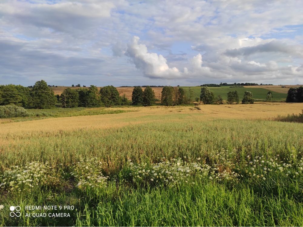 Działka budowlana Głotowo. Zdjęcie 2