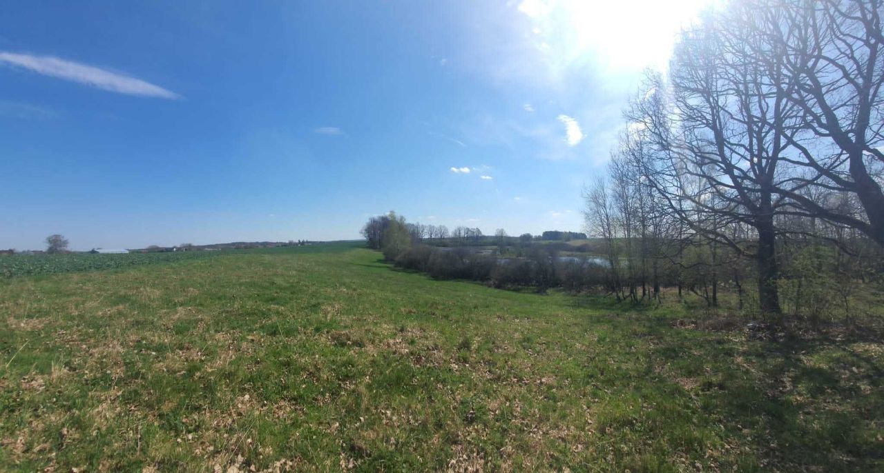 Działka Jezierze. Zdjęcie 4