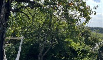 Działka rod Mrągowo