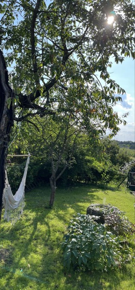 Działka rod Mrągowo. Zdjęcie 2