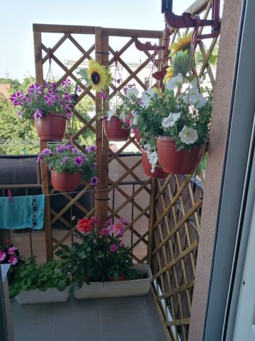 Mieszkanie 3-pokojowe Kędzierzyn-Koźle Blachownia Śląska, ul. Zwycięstwa. Zdjęcie 1