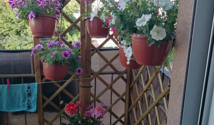 Mieszkanie 3-pokojowe Kędzierzyn-Koźle Blachownia Śląska, ul. Zwycięstwa