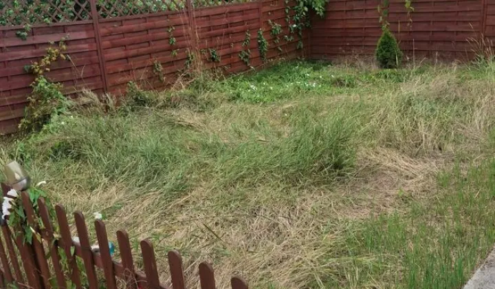 Działka rod Wrocław Stare Miasto