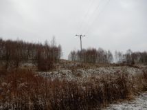 Działka rolna Pławna Dolna. Zdjęcie 2